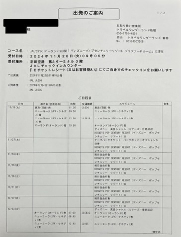 HIS手配内容とスケジュール